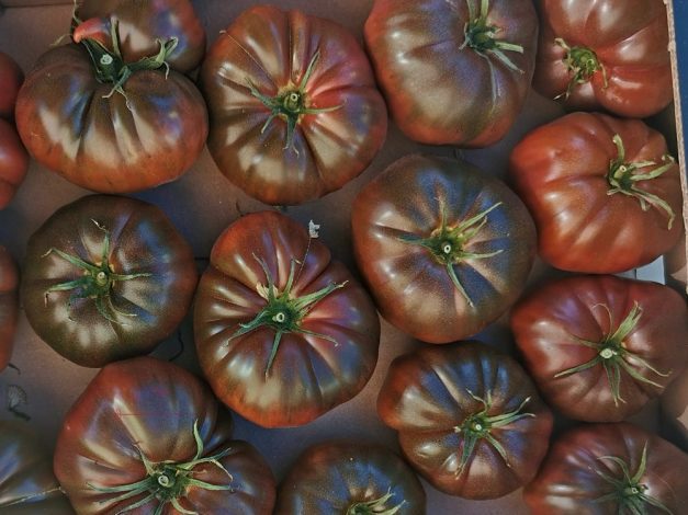 krimi fekete paradicsom