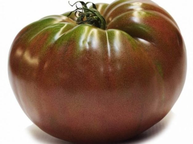 Paradicsom - fekete krími