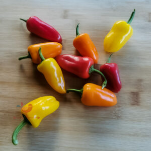 02 snack paprika johnny 1 1