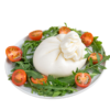 burrata