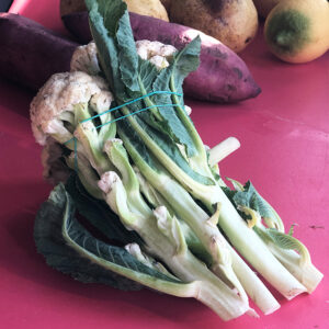 caulishoots