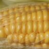 csemegekukorica e1565023297107