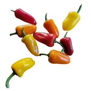 Édes mini paprika