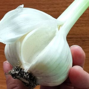 fokhagyma uj e1589130114762