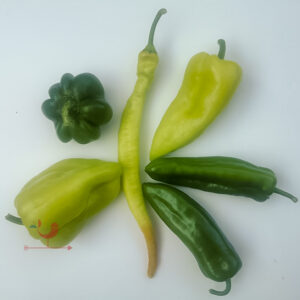 paprika vegyes zold