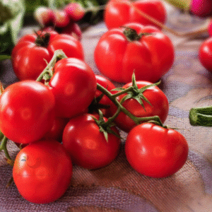 paradicsom avalantino