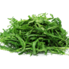 salata rukkola