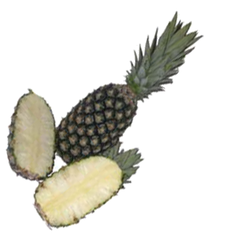 ananasz_feher-husu.png