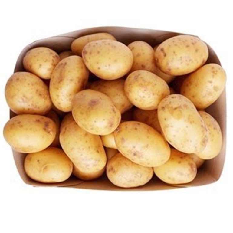 burgonya_colomba.jpg