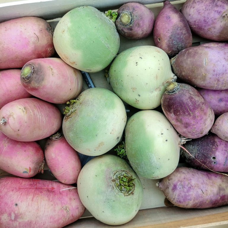 retek_színes húsú mix